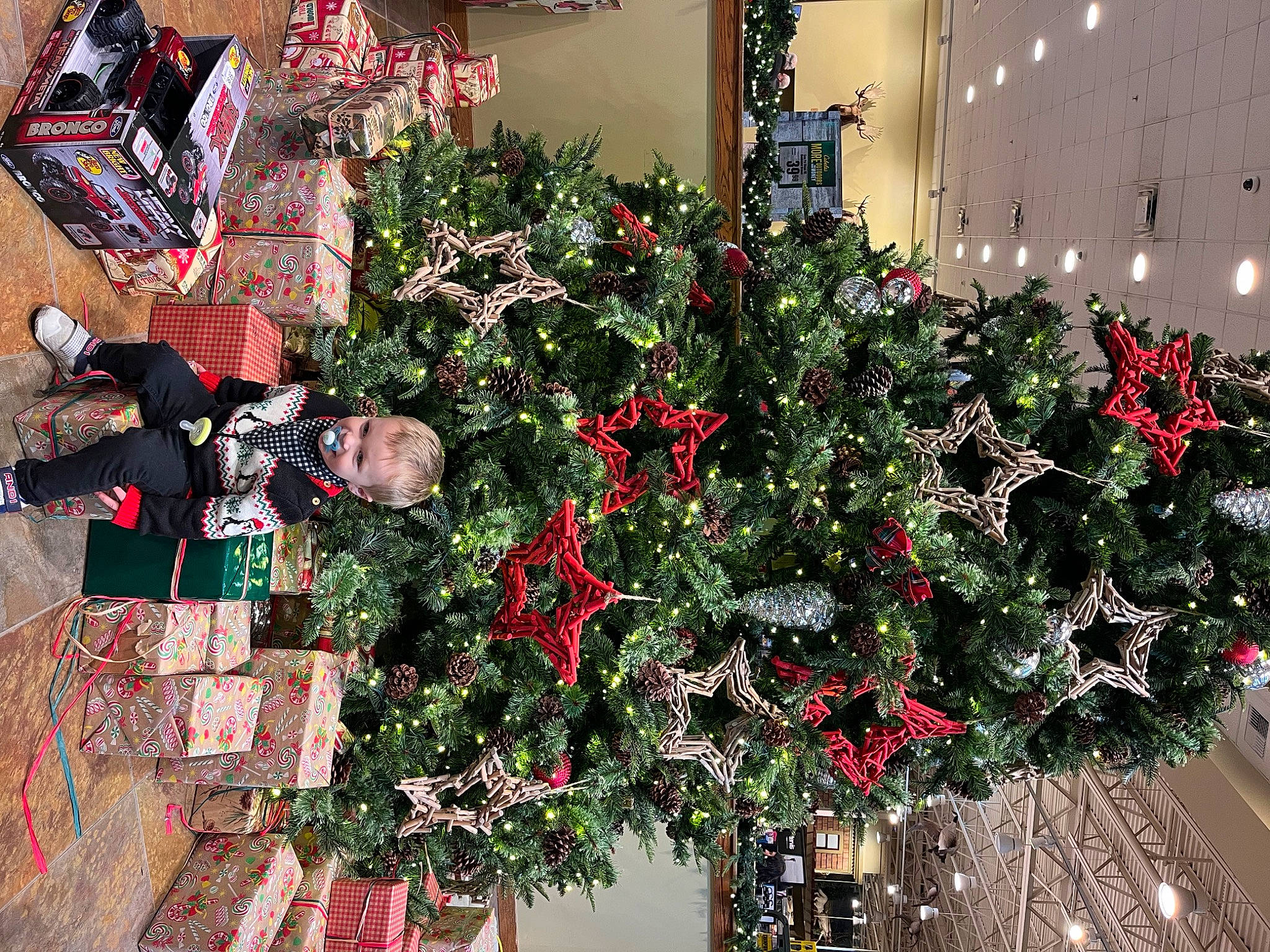 Carter joined the competition — help win amazing prizes! annual_plant, christmas, christmas_decoration, christmas_eve, christmas_ornament, christmas_tree, creative_arts, event, evergreen, floristry, flower_arranging, holiday, holiday_ornament, houseplant, interior_design, joy, ornament, person, plant, tradition