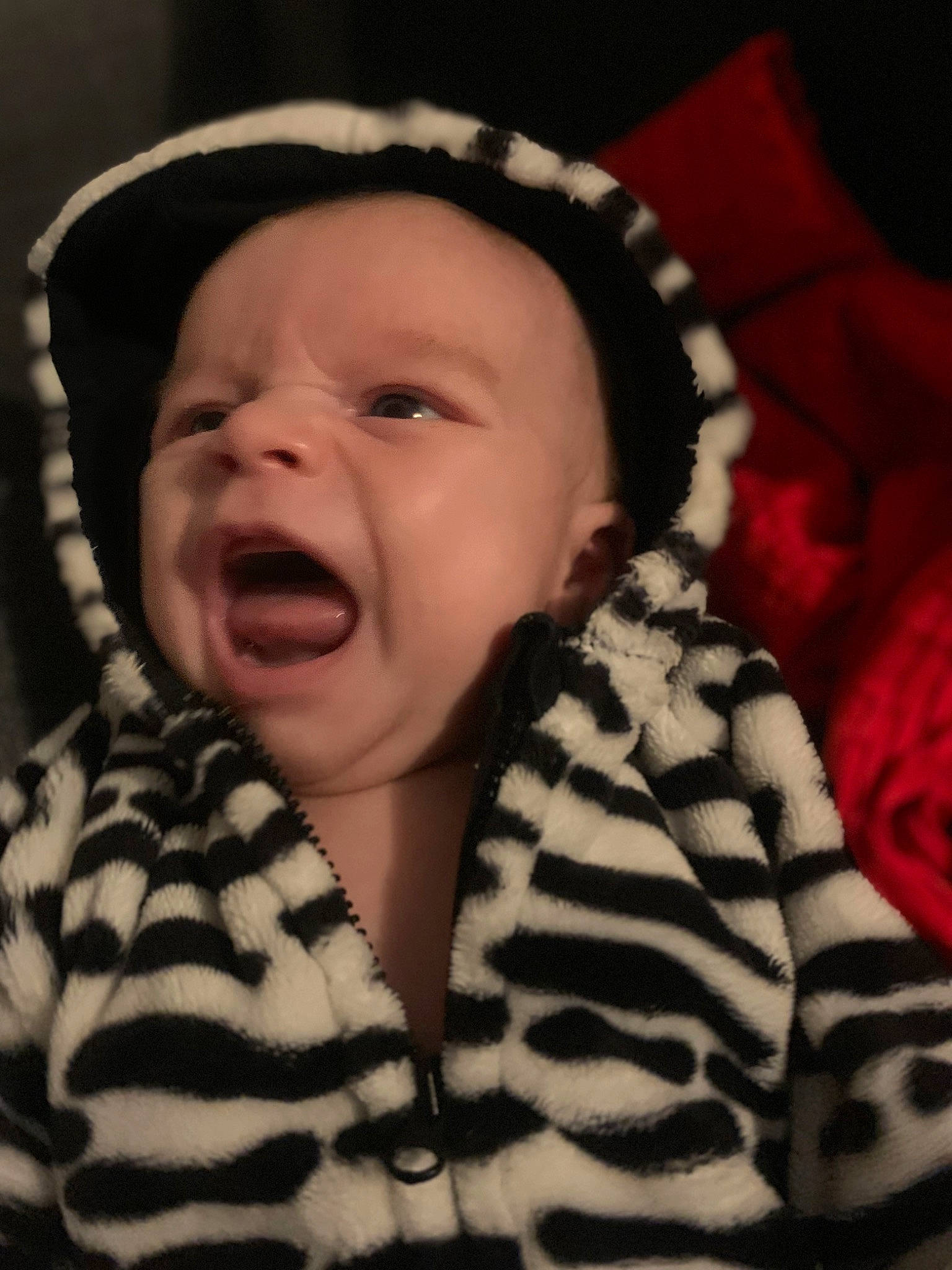 Magnus a rejoint le concours — aidez-le/la à gagner de superbes lots ! baby, baby_toddler_clothing, cheek, chin, comfort, cool, eye, eyebrow, face, finger, flash_photography, happy, head, lip, mouth, nose, outerwear, person, skin, sleeve