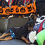 black_dog, cat_pattern, clothing, couch, cozy, dog, ghost, halloween_blanket, home, hoodie, indoor, jack_skeleton, nightmare_before_christmas, pet, pillow, pumpkin, relaxed, resting, sally, small_dog