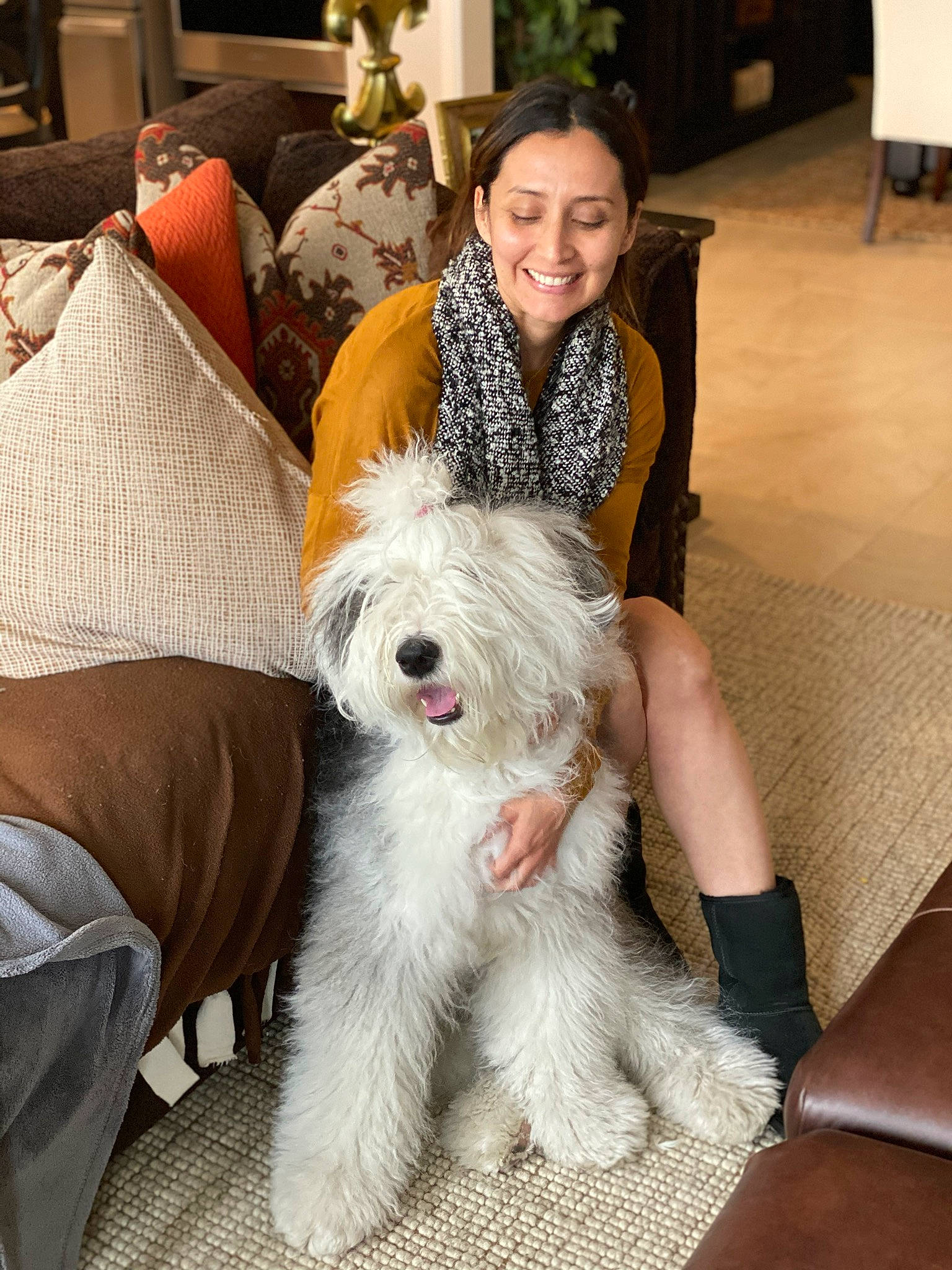 Rosie joined the competition — help win amazing prizes! canidae, carnivore, chair, comfort, companion_dog, couch, dog, dog_breed, flooring, fur, giant_dog_breed, hair, head, houseplant, sitting, smile, sporting_group, terrier, toy_dog, working_animal