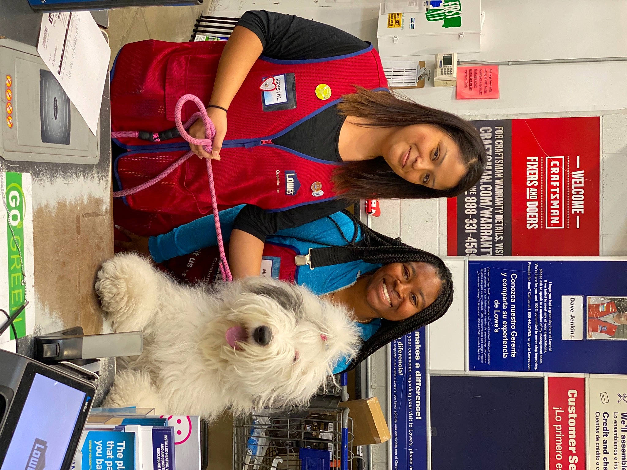 Rosie is registered to the contest to win money with this photo: canidae, carnivore, companion_dog, dog, dog_breed, dog_supply, event, fur, publication, room, small_terrier, smile, sporting_group, t_shirt, toy, toy_dog