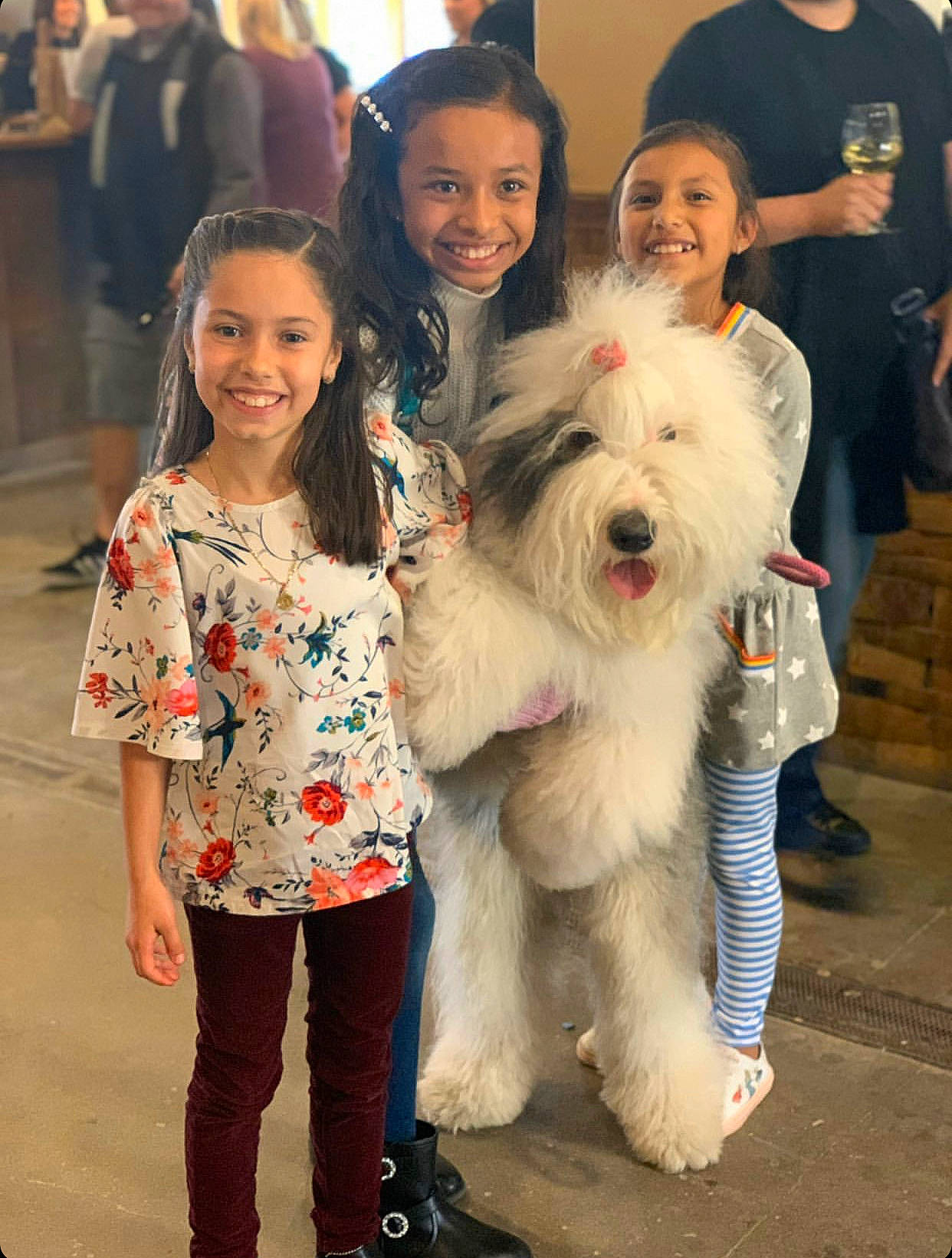 Rosie joined the competition — help win amazing prizes! boot, canidae, carnivore, child, companion_dog, dog, dog_breed, event, eyewear, fun, fur, happy, shoe, small_terrier, smile, sneakers, sporting_group, t_shirt, terrier, toy_dog