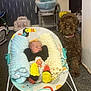 baby, newborn, infant, baby_rocker, blanket, dog, brown_dog, carpet, indoor, furniture, chair, baby_toys, comfort, pet, animal, cute, home, resting, child, soft