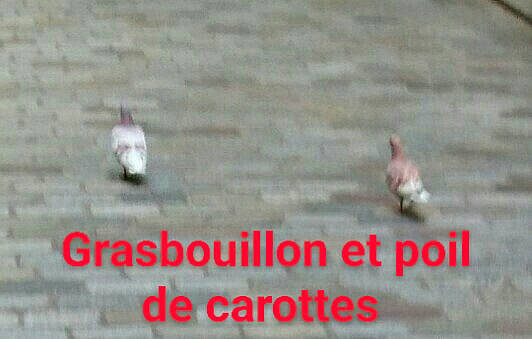 Poil De Carotte Et Grasbouillon