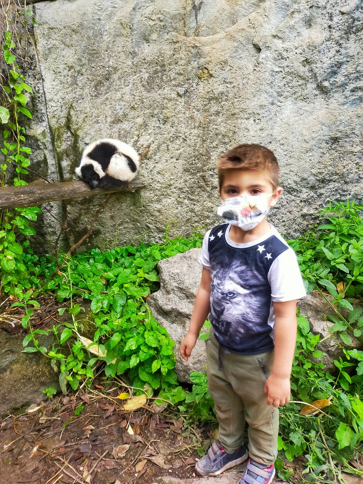 Vicenzo a rejoint le concours — aidez-le/la à gagner de superbes lots ! adaptation, botany, child, fawn, grass, groundcover, jungle, nature_reserve, panda, person, plant, plant_community, toddler