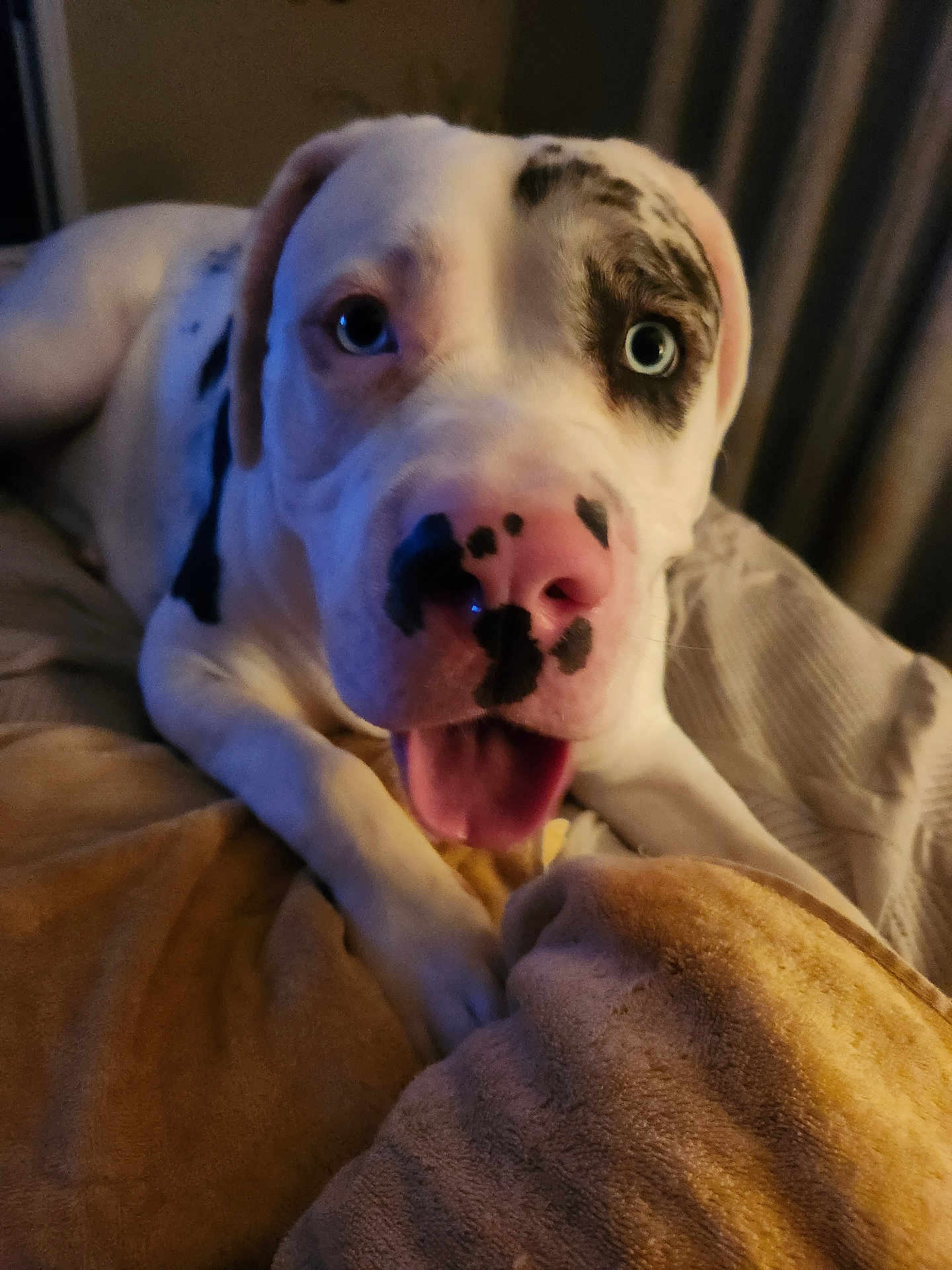 Bella Mae