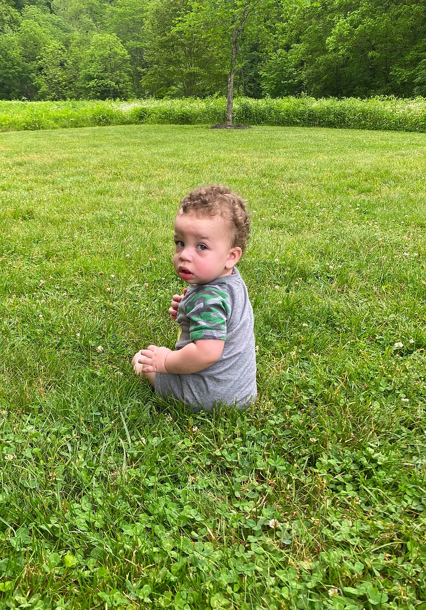 Braxton is registered to the contest to win money with this photo: child, farm, field, grass, grass_family, grassland, green, groundcover, lawn, leaf, meadow, pasture, people_in_nature, person, plant, play, sitting, summer, toddler, tree