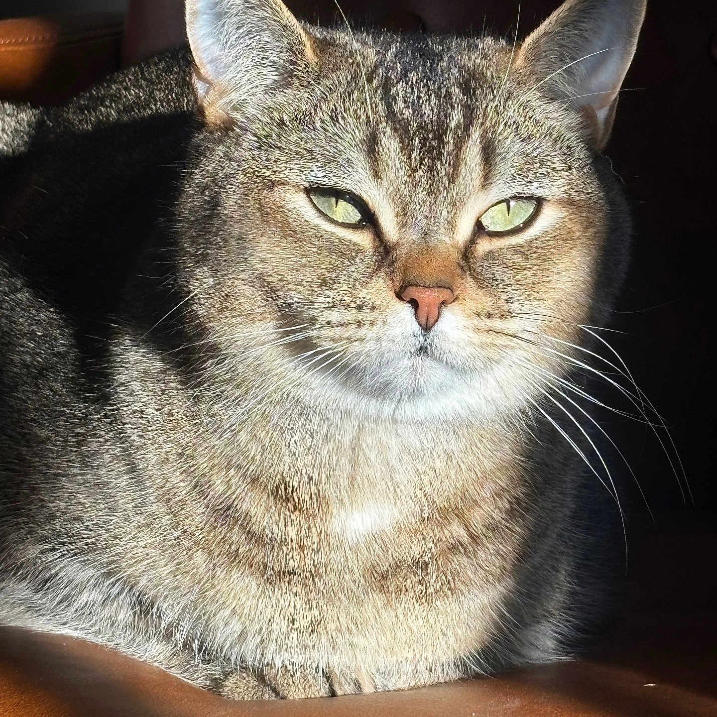 Caesar