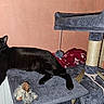 black_cat, cat_tree, toy, blanket, radiator, indoor, pet, feline, relaxed, sleepy, cozy, fur, paw, resting, home, animal, domestic_cat, scratching_post, soft, cute