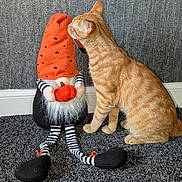 Nuke is registered to the contest to win money with this photo: animal, beard, carpet, cat, curious, cute, decor, doll, feline, gnome, home, indoor, orange_hat, orange_tabby, pet, sitting, striped_leggings, stuffed_toy, toy, wall