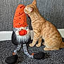 animal, beard, carpet, cat, curious, cute, decor, doll, feline, gnome, home, indoor, orange_hat, orange_tabby, pet, sitting, striped_leggings, stuffed_toy, toy, wall