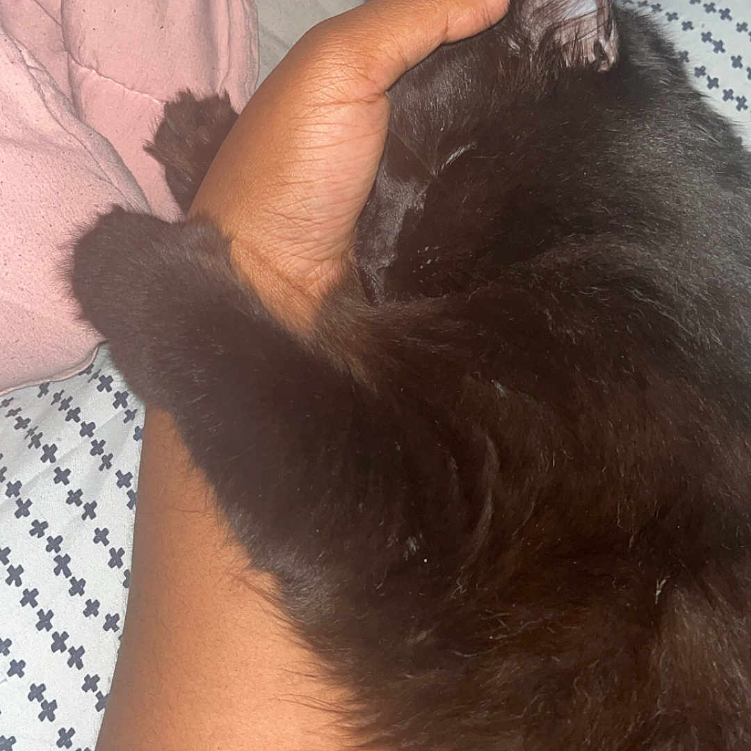 Nimbus