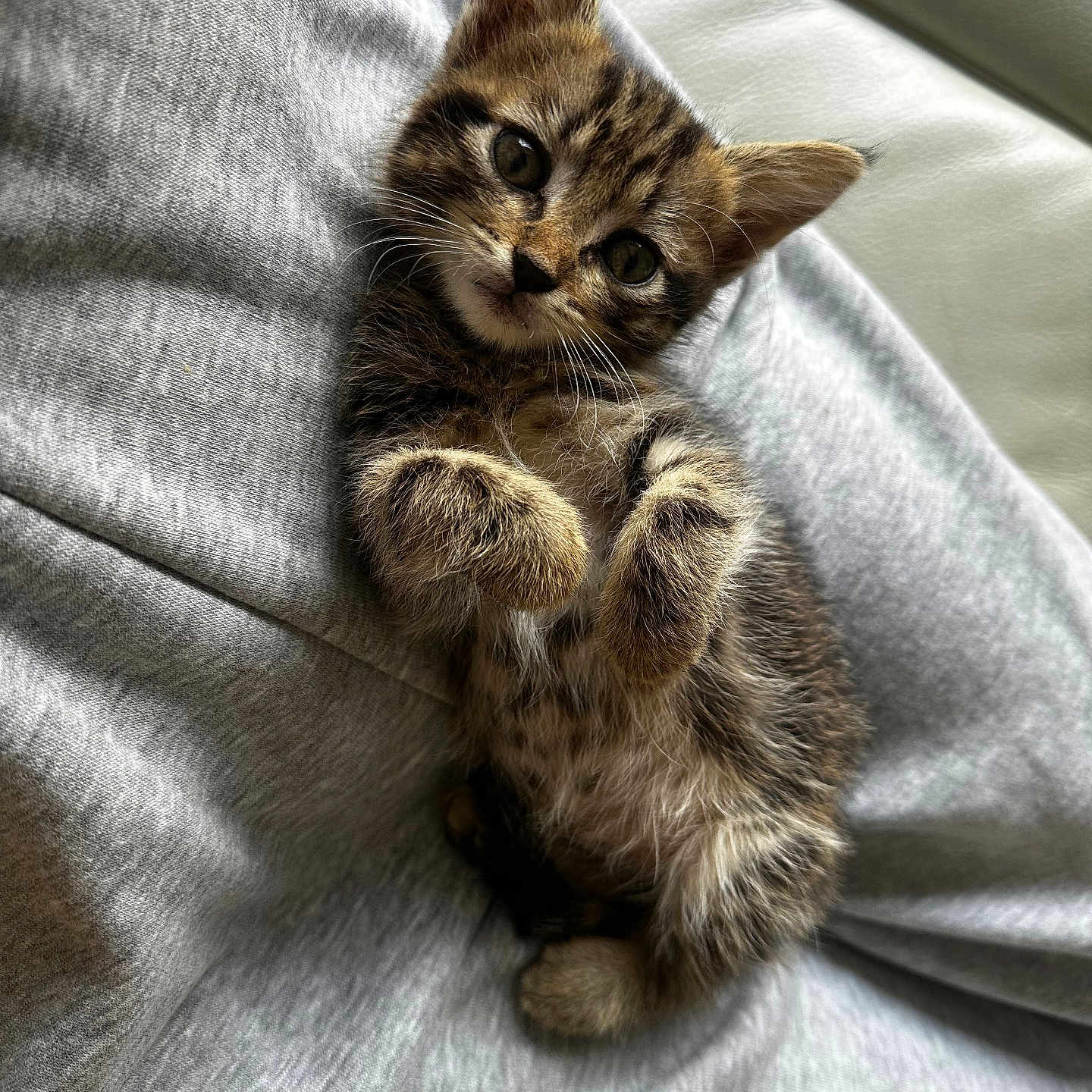 Nala