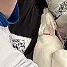 blue_shirt, clothing, collar, comfort, couch, dog, domestic_animal, fabric, furniture, home, indoor, person, pet, pillow, relaxing, resting, side_view, sleeping, white_dog, white_shirt