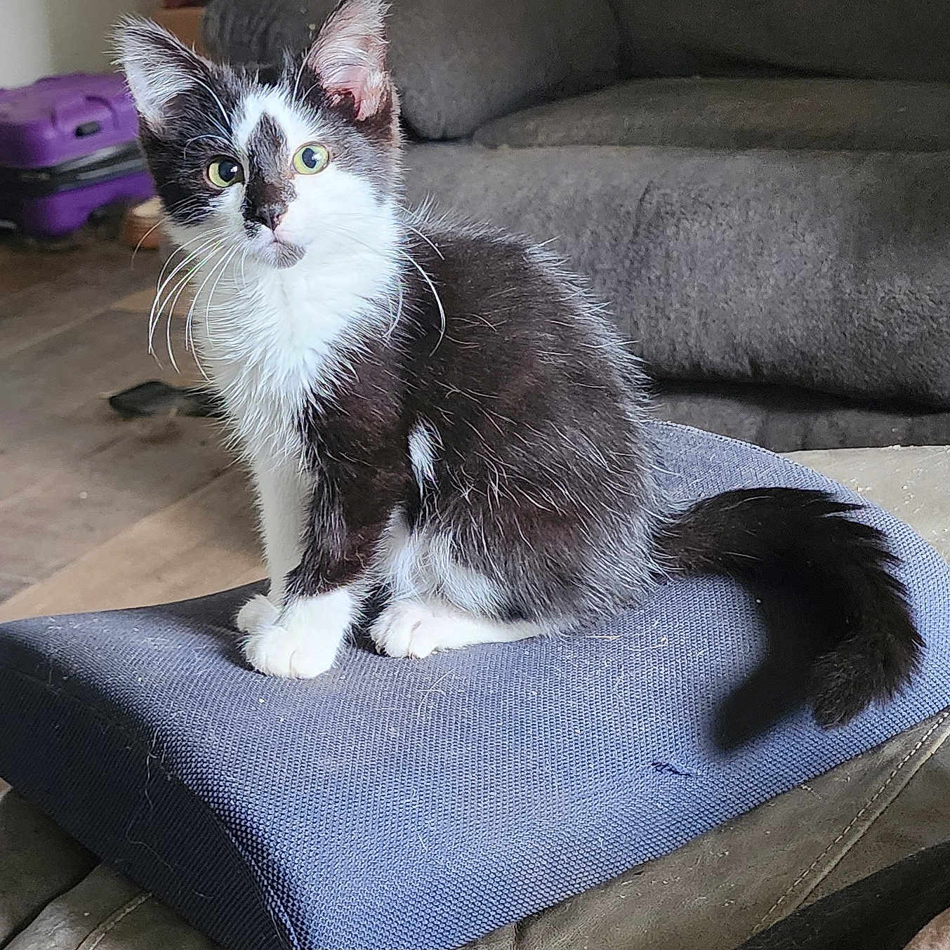 Binx