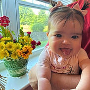 Amelia is registered to the contest to win money with this photo: baby, child, pigtails, pink_bows, tongue_out, arms, window, flowers, yellow_flowers, red_flowers, green_vase, indoor, person, cute, playful, smiling, natural_light, face, happy, closeup
