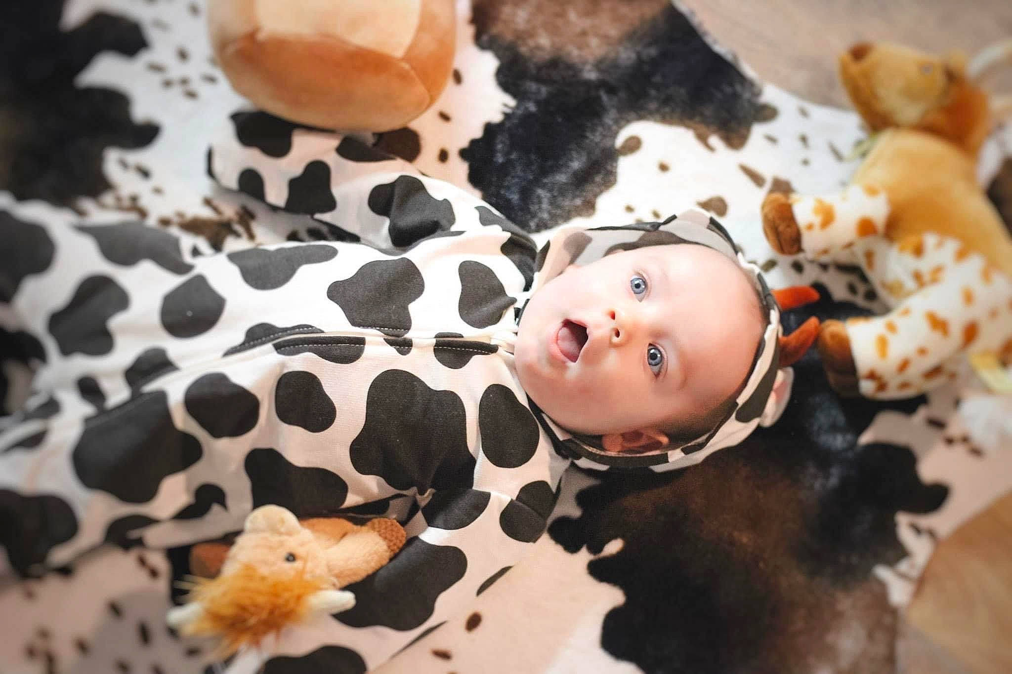 Waylon is registered to the contest to win money with this photo: baby, baby_toys, child, doll, eyelash, fawn, figurine, fur, happy, nail, pattern, person, plush, room, stuffed_toy, surprise, sweetness, textile, toddler, toy