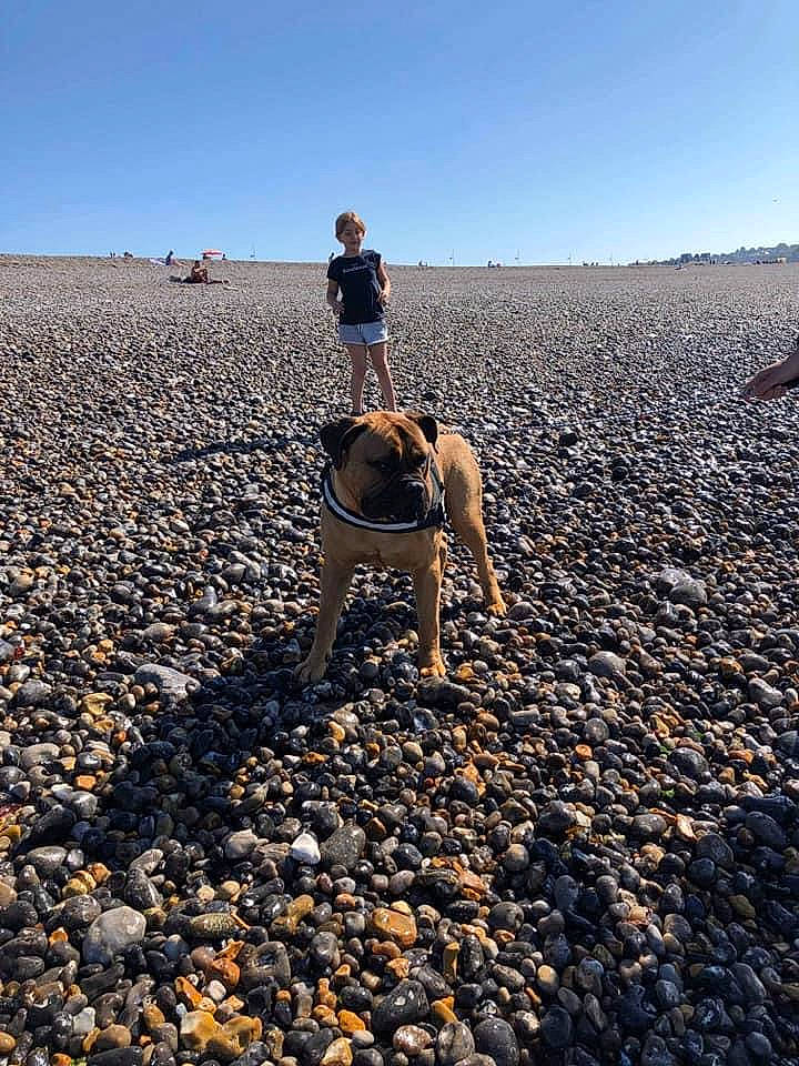 Zeus participe au concours pour gagner de l'argent avec cette photo : agriculture, asphalt, body_of_water, ecoregion, field, grass, horizon, human_leg, landscape, morning, people_in_nature, road_surface, rock, sand, shore, sky, soil, travel, tree, wood