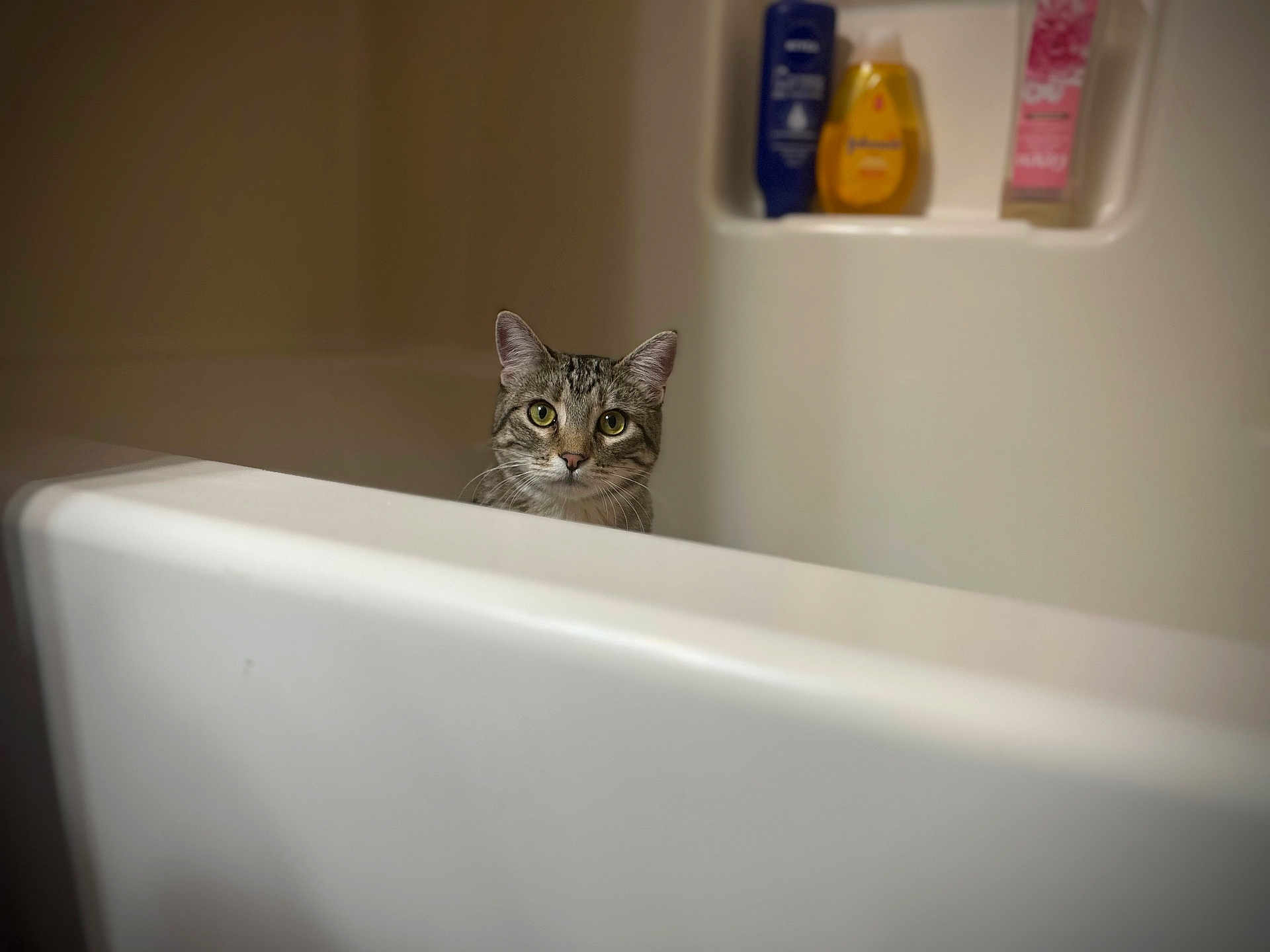 Stormie