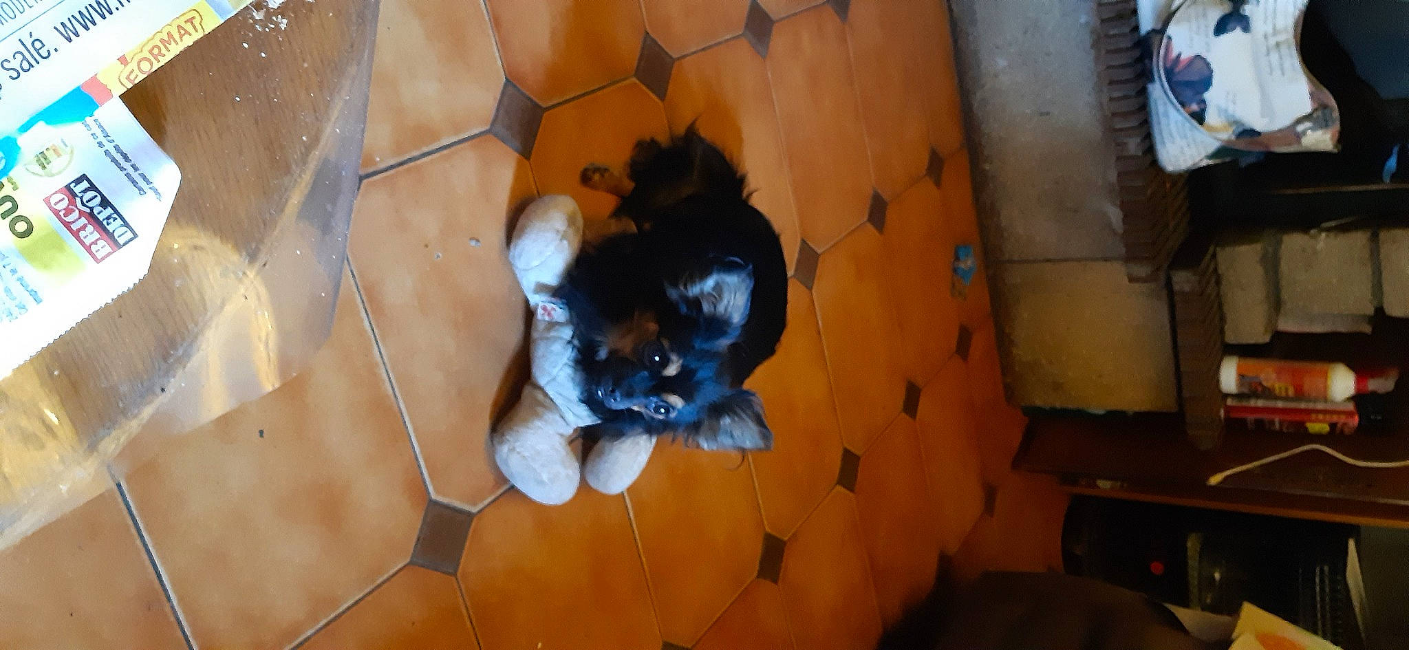 Tina