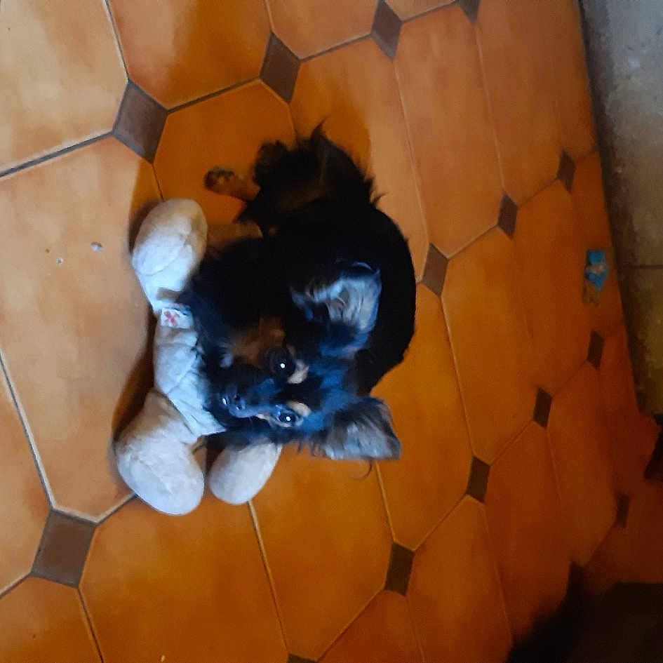 Tina