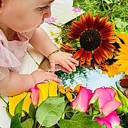 Karina is registered to the contest to win money with this photo: baby, infant, child, face, hands, headband, bracelet, sunflower, rose, pink_rose, yellow_rose, flowers, mirror, reflection, grass, outdoor, portrait, close_up, petals, greenery