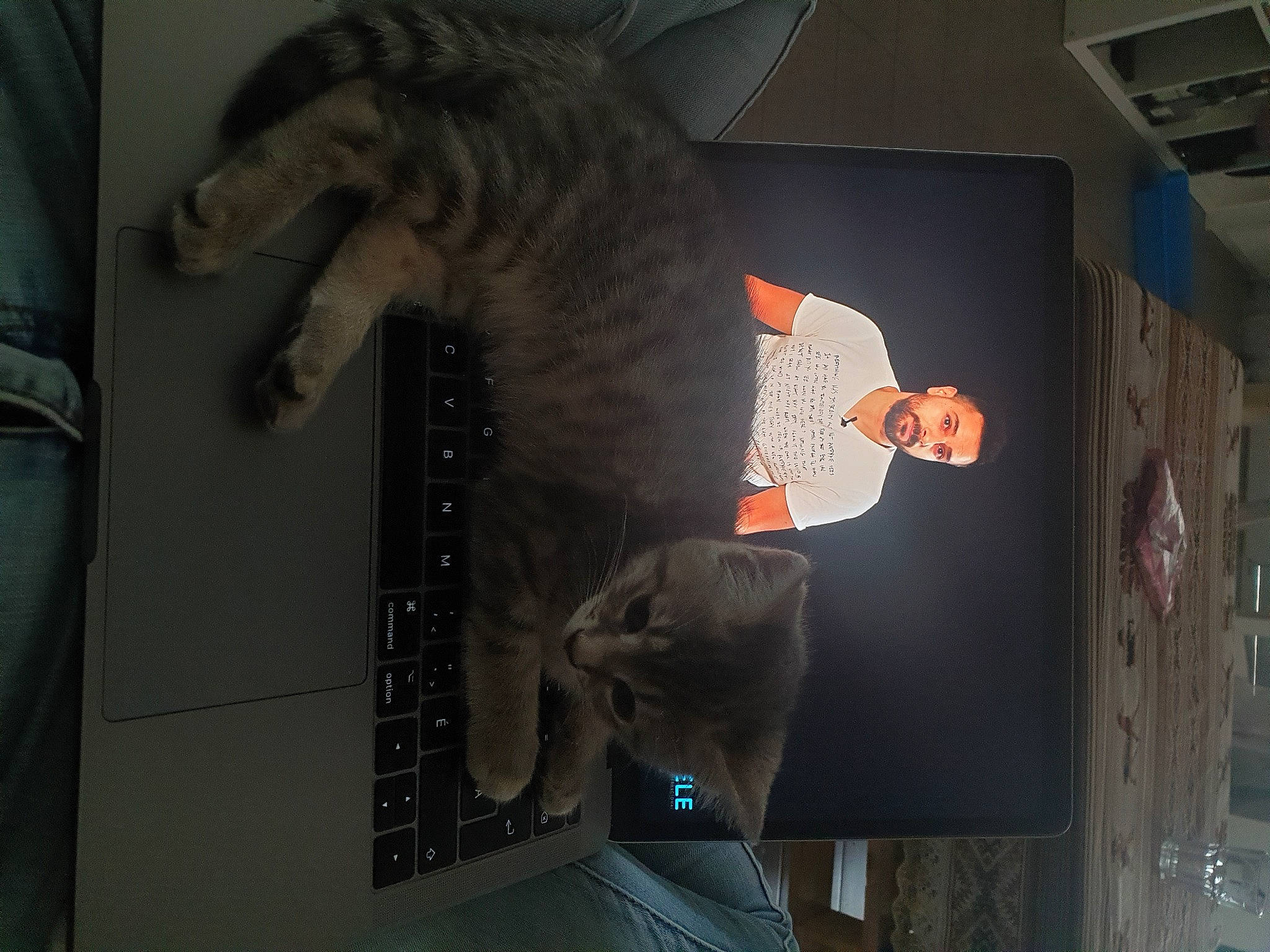 Killa a rejoint le concours — aidez-le/la à gagner de superbes lots ! animation, art, artist, dinosaur, display_device, event, felidae, flesh, fun, fur, gesture, grey, organism, room, small_to_medium_sized_cats, tail, visual_arts, whiskers