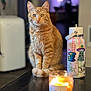 cat, orange_tabby, pet, animal, sitting, table, candle, water_bottle, stickers, indoor, curious, fur, closeup, blurry_background, domestic, cute, eyes, whiskers, focused, cozy