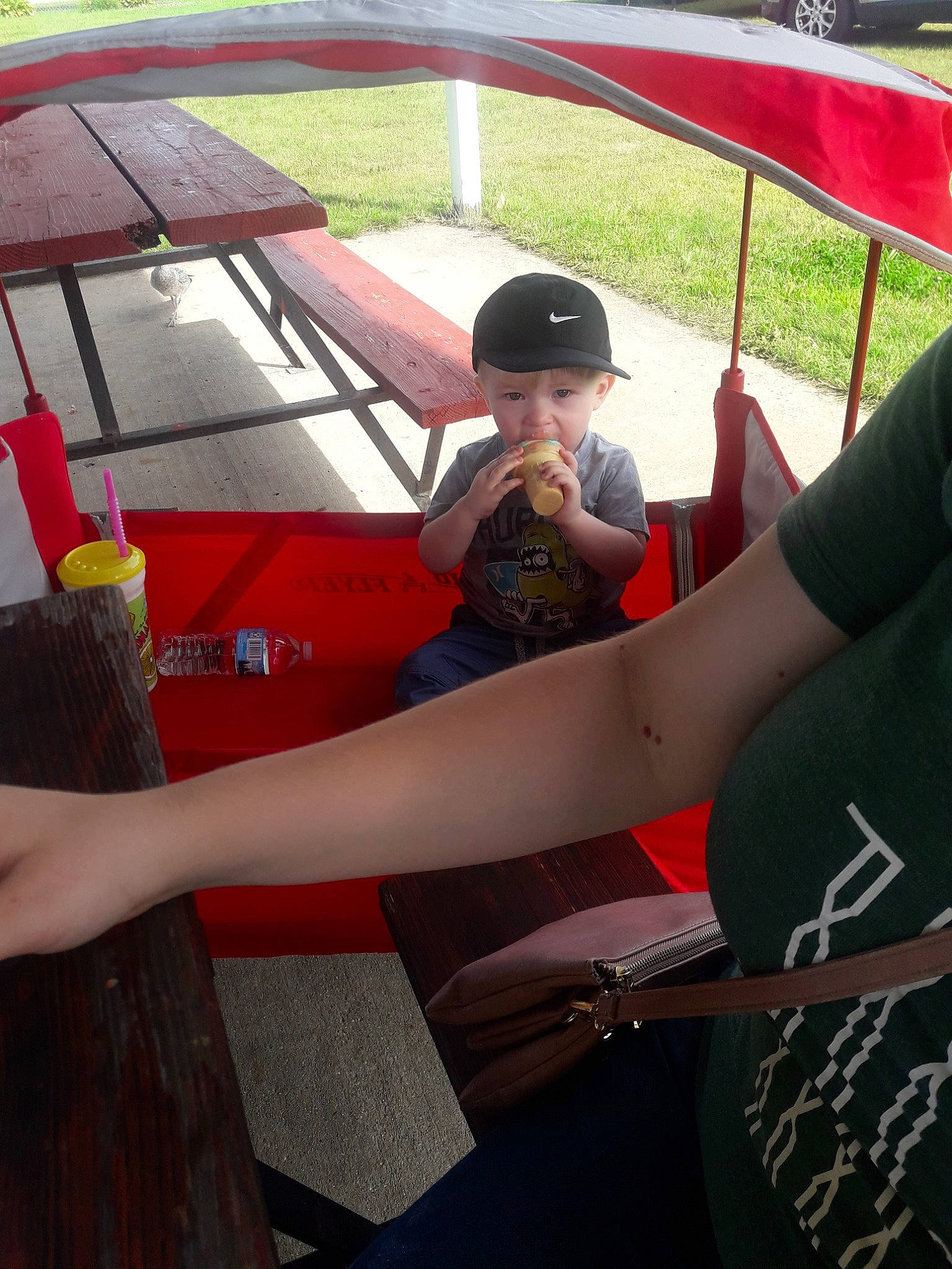 Leland joined the competition — help win amazing prizes! leg, leisure, person, recreation, vehicle