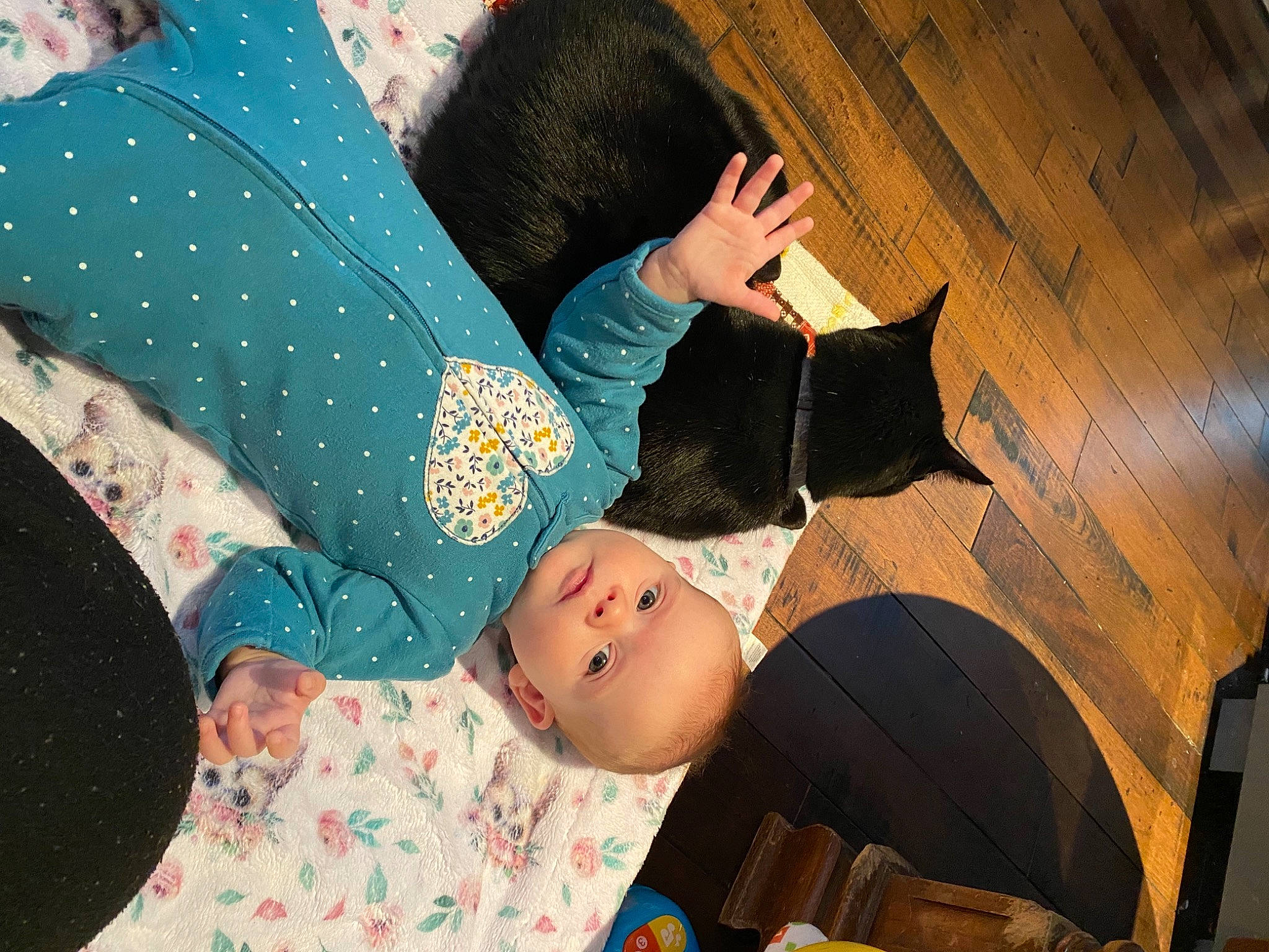 Gaïa a rejoint le concours — aidez-le/la à gagner de superbes lots ! cat, child, comfort, design, facial_expression, felidae, happy, human_leg, lap, leg, linens, mammal, pattern, person, room, small_to_medium_sized_cats, textile, thigh, toddler, tree