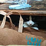 Figaro participe au concours pour gagner de l'argent avec cette photo : cat, black_and_white, paper_bag, wooden_table, indoor, curious, peeking, hidden, feline, pet, animal, brown, blue_print, table_leg, wood_texture, eyes, whiskers, shadow, quiet, cozy