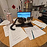 Mochi is registered to the contest to win money with this photo: cat, laptop, papers, pen, table, kitchen, refrigerator, chair, backpack, cup, door, floor, cabinet, pen_holder, kitchen_towel, mouse, study, indoor, home, workspace