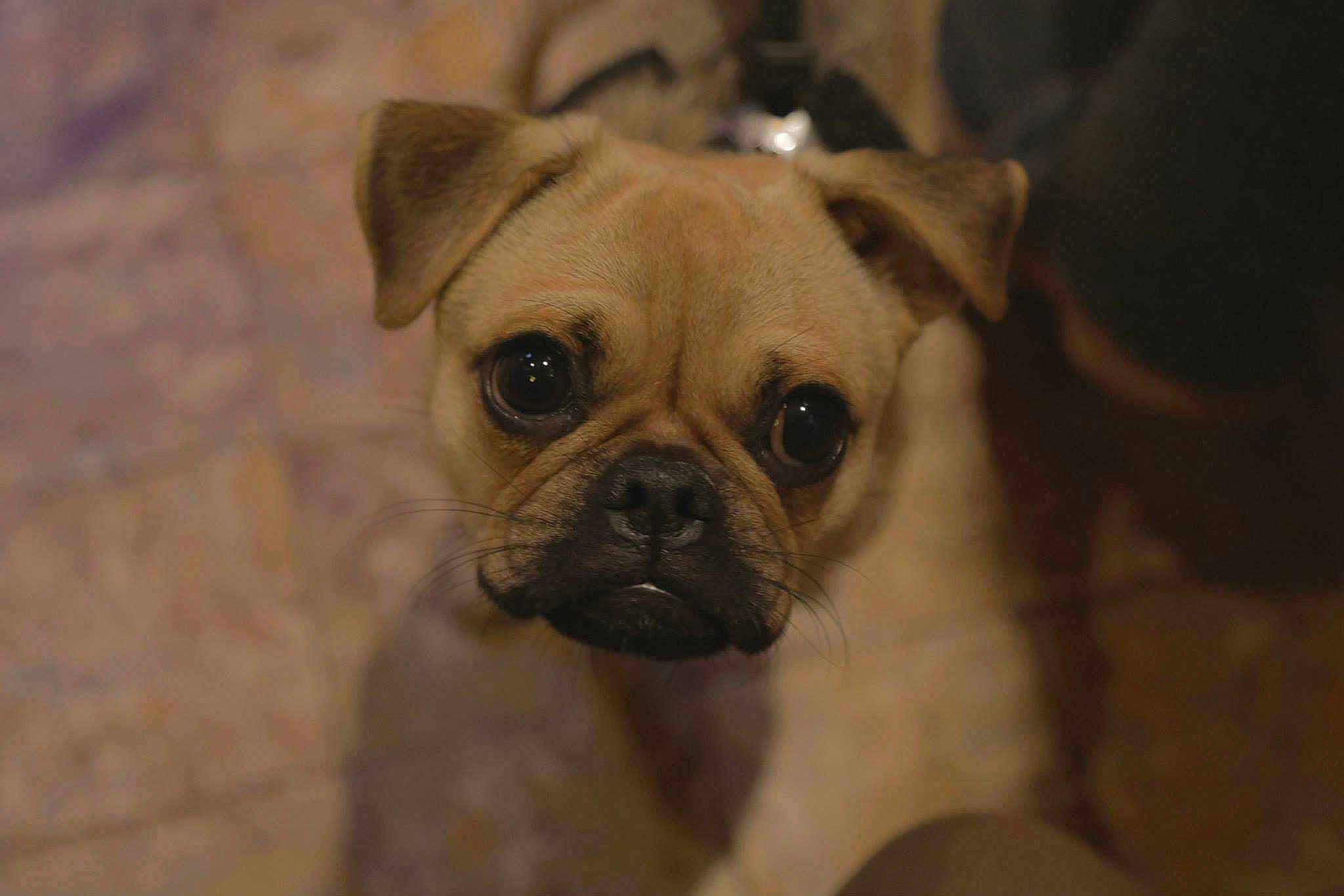 Vincent is registered to the contest to win money with this photo: