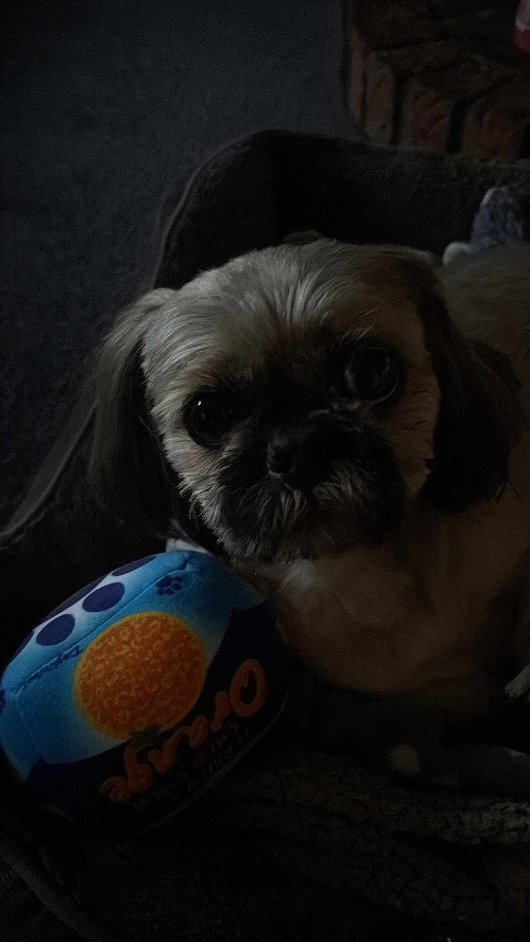 Ted