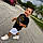 Liam Infante