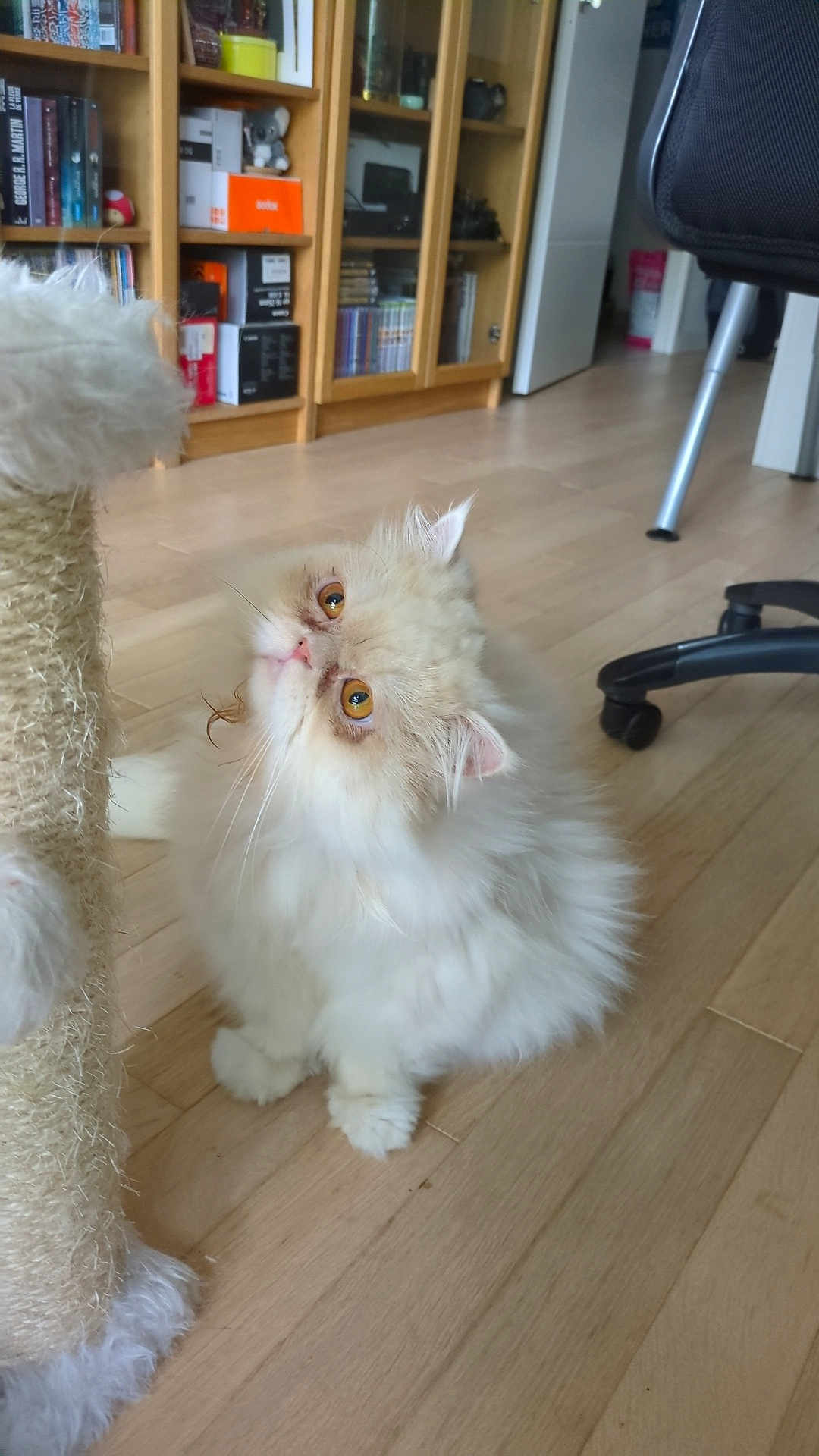 Milou