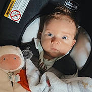Everhett joined the competition — help win amazing prizes! baby, infant, child, car_seat, wide_eyes, portrait, sitting, blanket, stuffed_animal, cow_toy, pacifier, brown_hair, blue_eyes, indoors, vehicle, baby_clothing, harness, cushion, close_up, photography