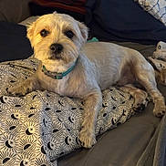Audie is registered to the contest to win money with this photo: