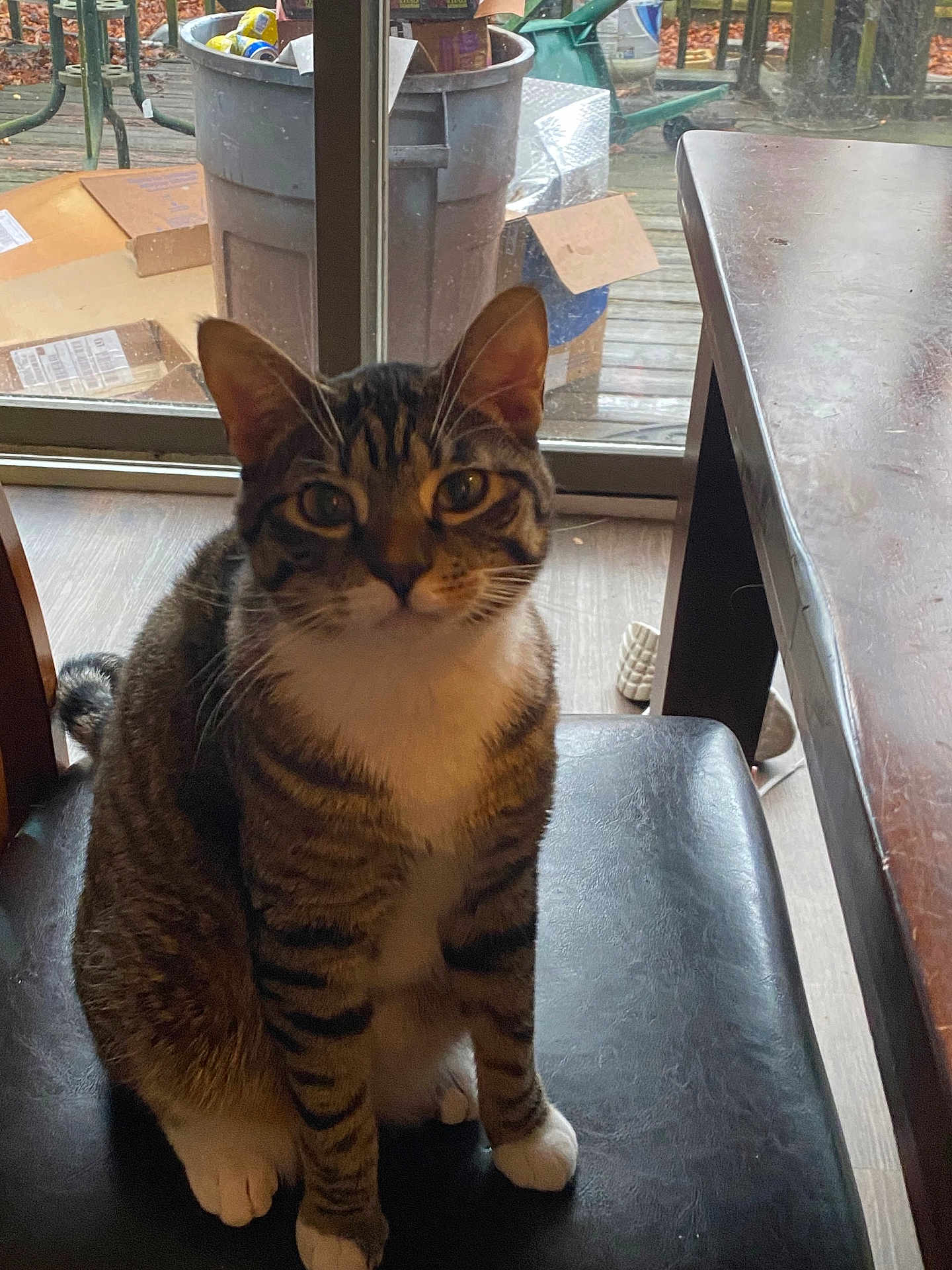 Milo