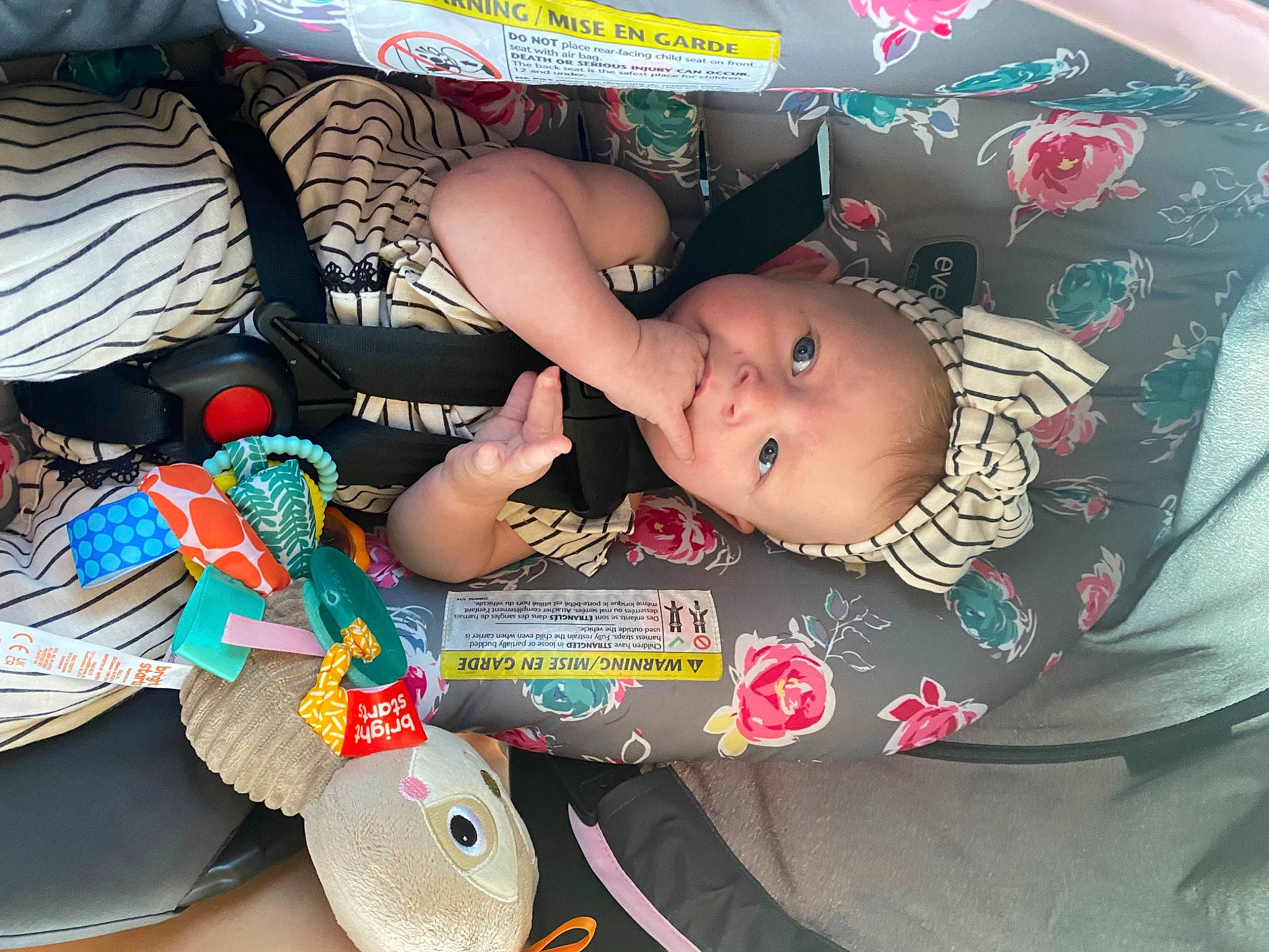 Adalynne is registered to the contest to win money with this photo: baby, baby_carriage, baby_products, baby_toddler_clothing, baby_toys, car_seat, carmine, cheek, child, eye, fun, happy, mouth, nail, pattern, person, plastic, textile, toddler