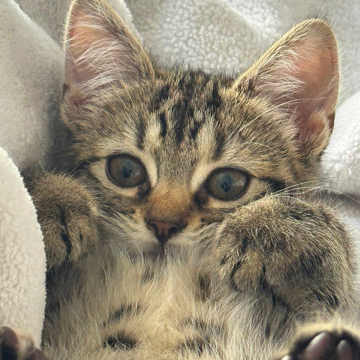 Kira