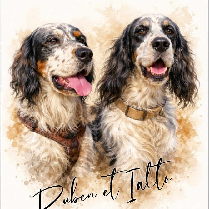 Ialto Et Ruben
