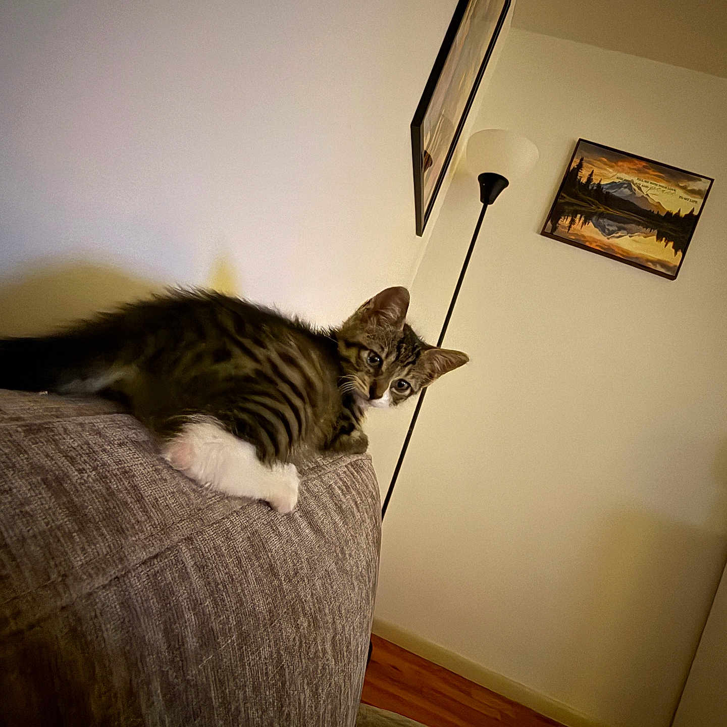 Lucy