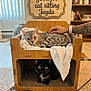 Bagheera is registered to the contest to win money with this photo: cat, two_cats, tabby_cat, tortoiseshell_cat, pet_bed, wooden_cat_house, wooden_sign, sign_text, tattooed_arm, hand, pink_nails, plush_mouse, feather_toy, carpet, towel, bookshelf, indoor, cozy, pet_toys, alert_eyes