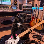 Bagheera is registered to the contest to win money with this photo: acoustic_panels, amplifier, animal, audio_equipment, black_cat, cat, couch, electric_guitar, guitar, guitar_picks, headphones, hello_kitty, indoor, monitor_speaker, music_studio, musical_instrument, neon_lights, pet, recording_studio, sound_mixer