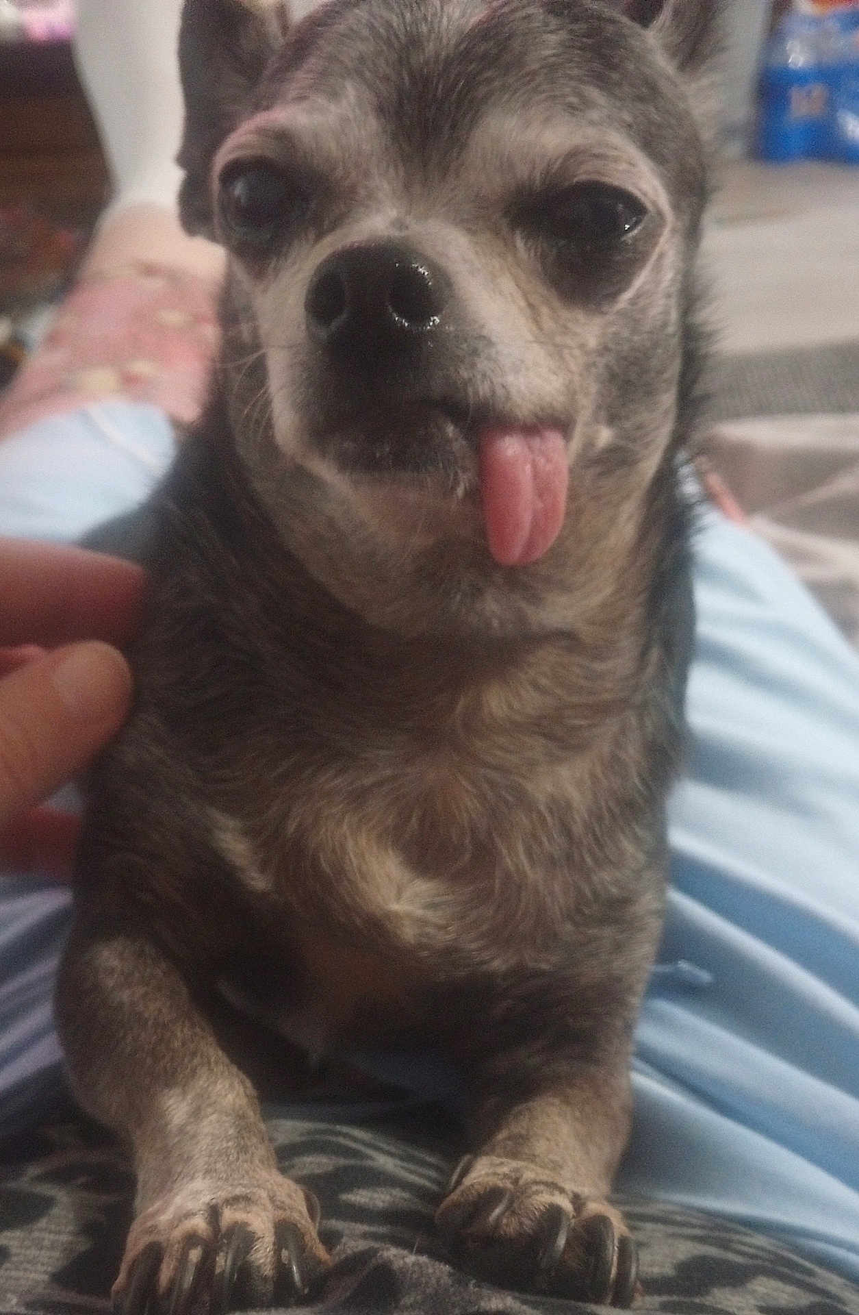 Nacho