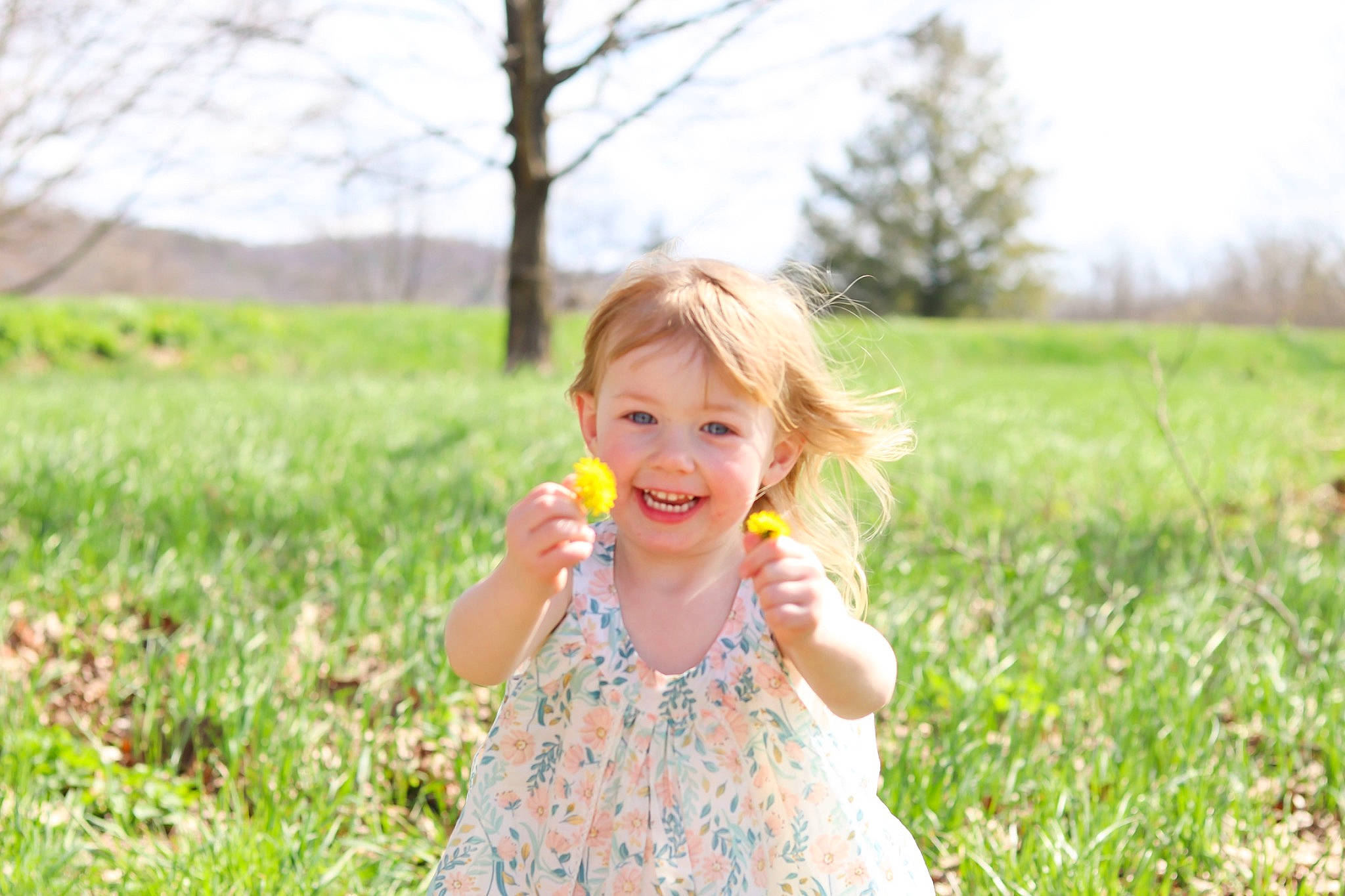 Alenna is registered to the contest to win money with this photo: child, dress, face, fruit, grass, grass_family, grassland, happy, joy, landscape, meadow, natural_environment, natural_landscape, people_in_nature, person, plant, prairie, rural_area, sky, smile