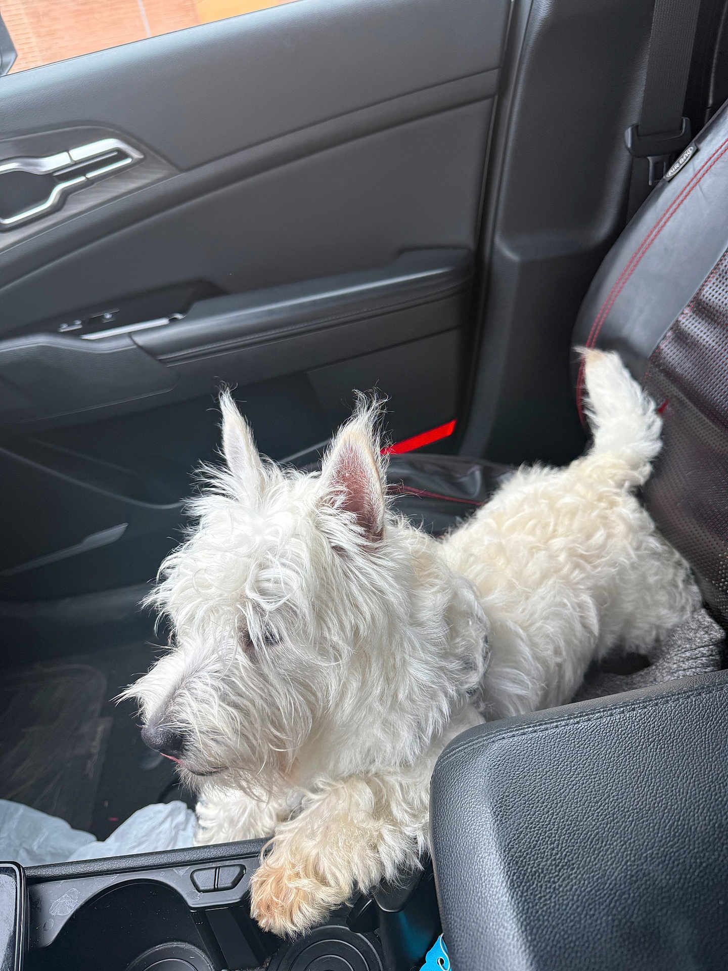 Max
