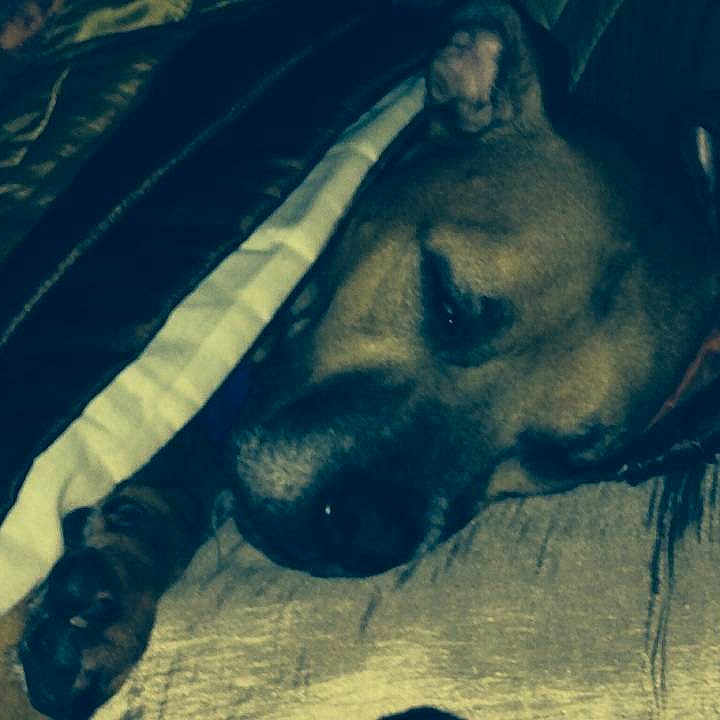 Spike