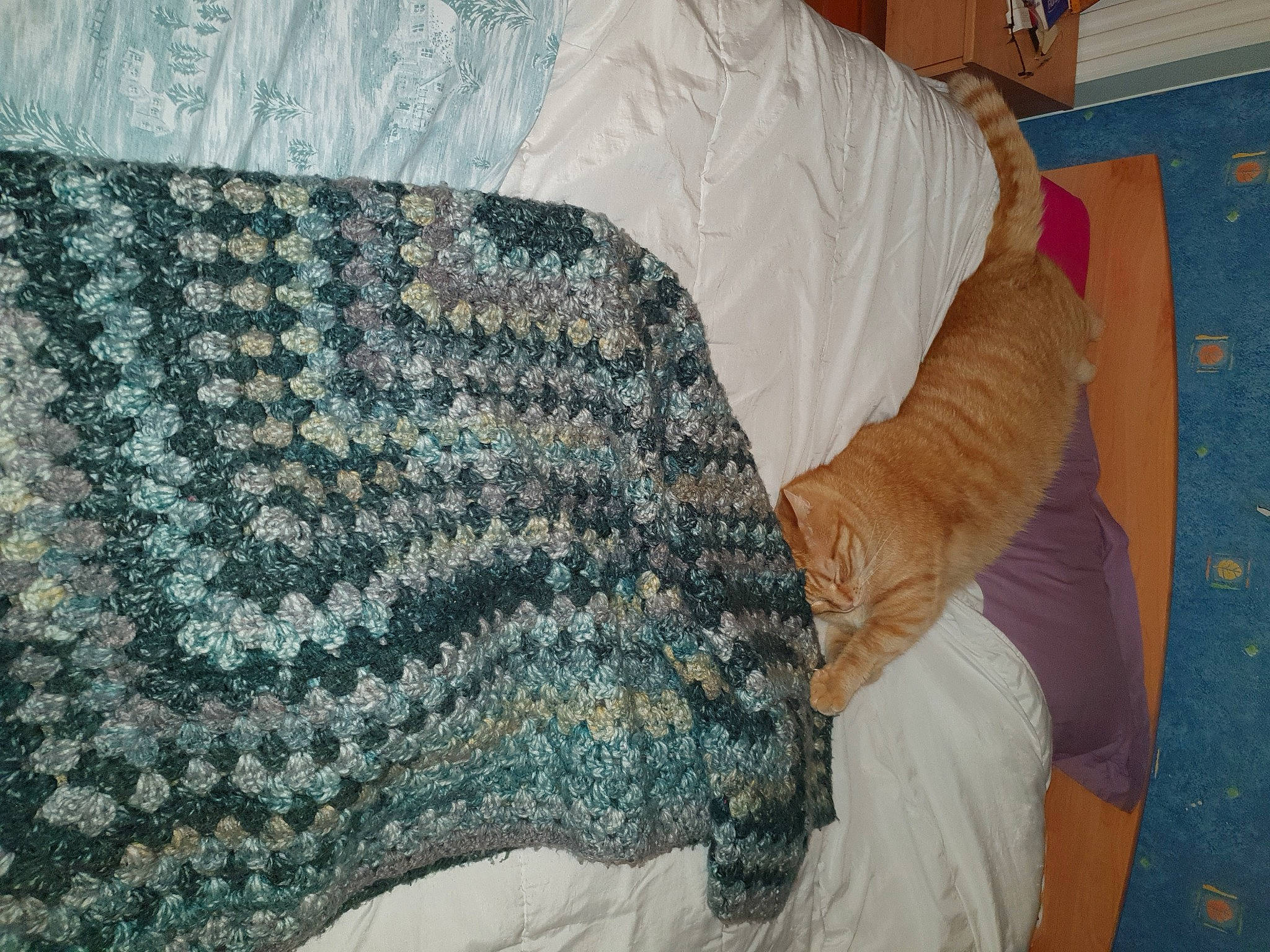 Lucky a rejoint le concours — aidez-le/la à gagner de superbes lots ! art, comfort, craft, creative_arts, electric_blue, fashion_accessory, flooring, human_leg, linens, motif, pattern, sleeve, textile, thread, visual_arts, weaving, wood, wool, woolen, woven_fabric